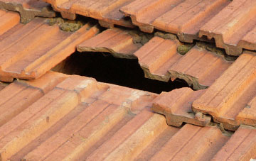 roof repair Willesley